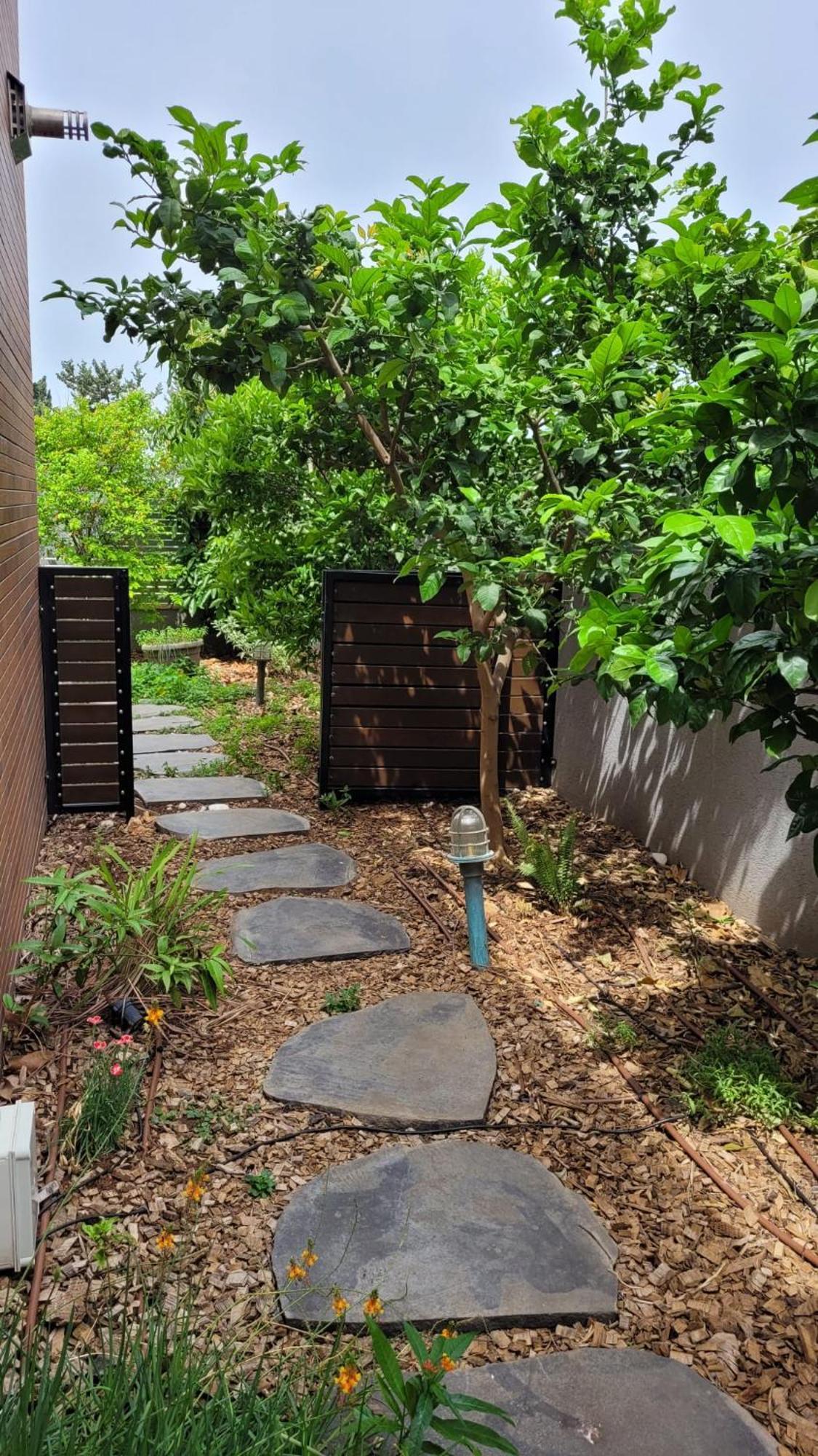 נקודות ריפוי Apartment Tirat Carmel Exterior foto
